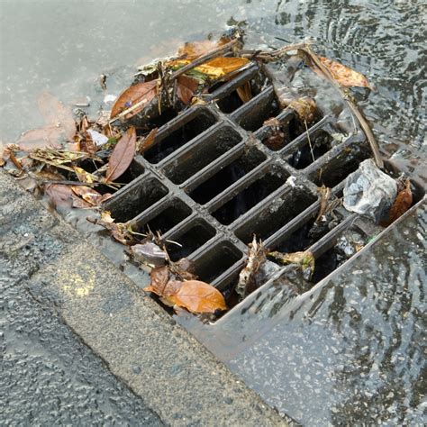 Blocked Drain Plumber Sydney: Fix Drains Fast 24/7