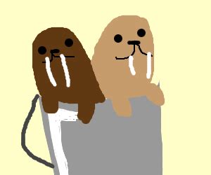 Walrus Bucket - Drawception