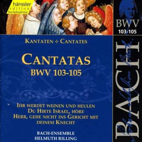 Johann Sebastian Bach - Cantatas BWV 103-105 (1999, ADD, CD) | Discogs