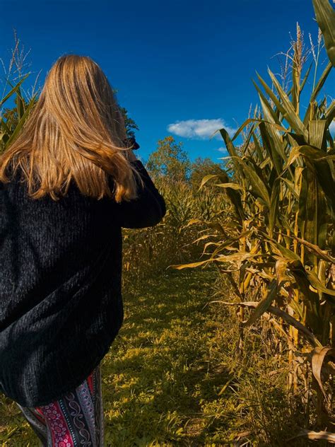 corn maze in 2023 | Autumn aesthetic, Corn maze, Things to do