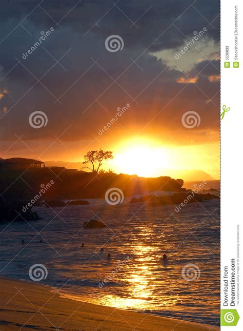 Sunset Beach Honolulu Hawaii Stock Image - Image of swim, ocean: 5536833