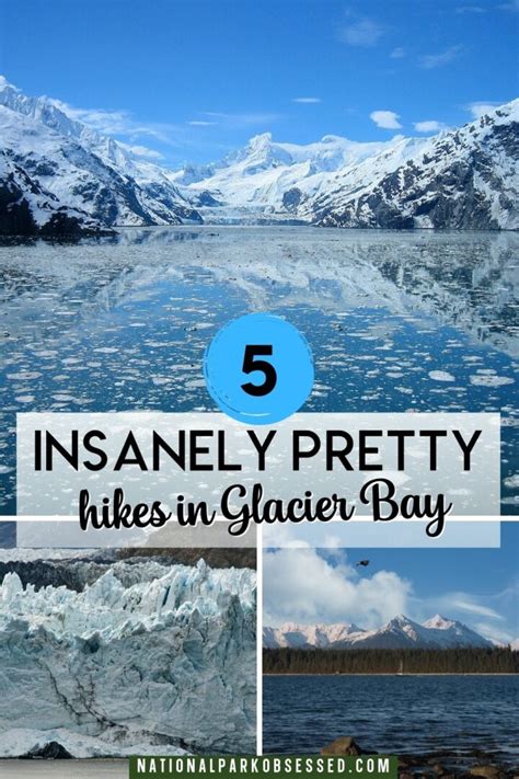 5 ABSOLUTE Best Hikes In Glacier Bay National Park For 2022 - National ...