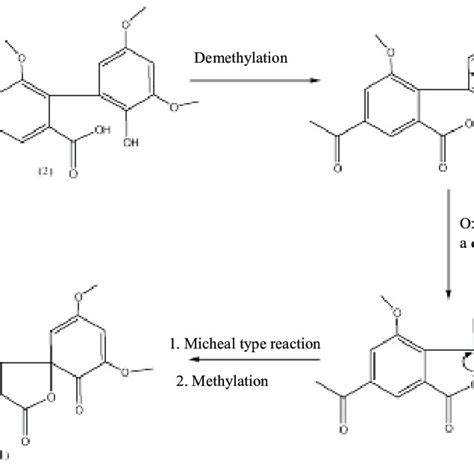 Postulated biosynthetic pathway of compound 1 | Download Scientific Diagram