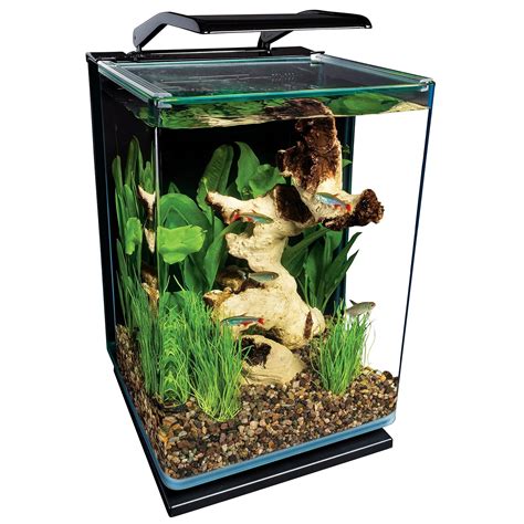 5 Gallon Fish Tanks - Options and Reviews 2023 | A Little Bit Fishy