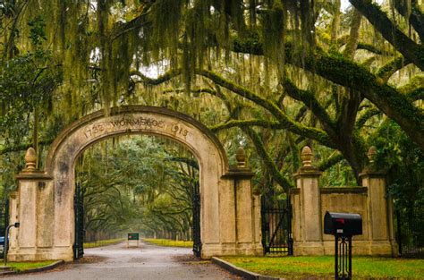 HOGGER & Co. Photography LLC. | Savannah: Wormsloe Plantation