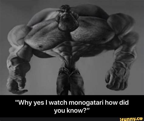 "Why yes I watch monogatari how did you know?" - "Why yes I watch monogatari how did you know ...