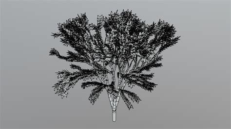 ArtStation - Low Poly Cartoon Tree | Game Assets