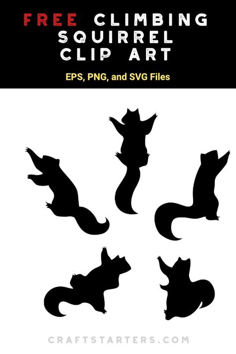 Squirrel Silhouette Svg Free - 197+ SVG File Cut Cricut