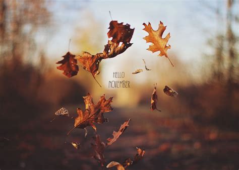 Hello November Pictures, Photos, and Images for Facebook, Tumblr ...