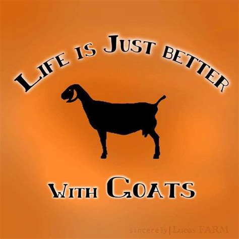 Pin by Wendy Bogen on Favorite Sayings/Quotes | Cute goats, Goats, Raising goats