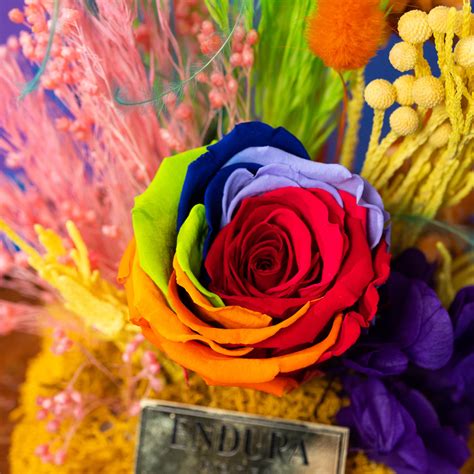 Rainbow Pride Signature | Floral Bunch & Bouquet | Endura Roses