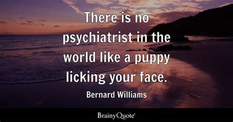 Bernard Williams - There is no psychiatrist in the world...