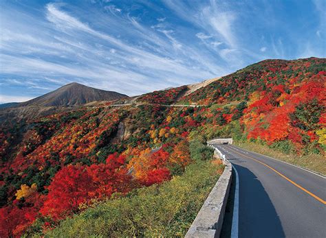 The Ultimate Tohoku Road Trip: 10 Best Pit Stops — Hpility SG