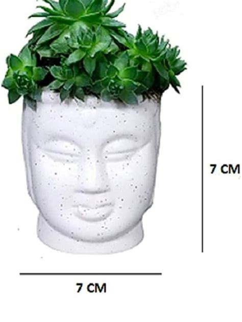 White Round Niva Ceramic Small Budhaa Shaped Planter, For Decoration at Rs 34 in Khurja