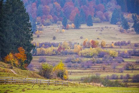 Zărnești Surroundings – Cristina Stamate