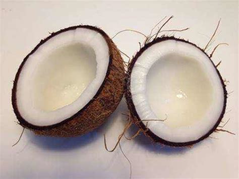 How Does Coconut Oil Help Against Eye Infection? | EYExan.com