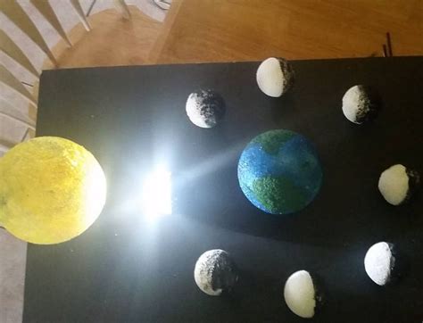 Earth science project. Lunar phases. This was my son's 6th grade project (before labeling). We ...