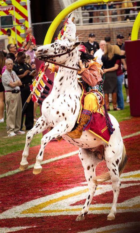 Chief Osceola On Renegade Editorial Image - Image: 60728760