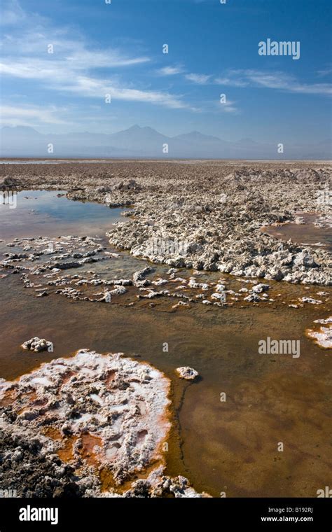 Brine pool on the Atacama Salt Flats in the Atacama Desert in Northern ...