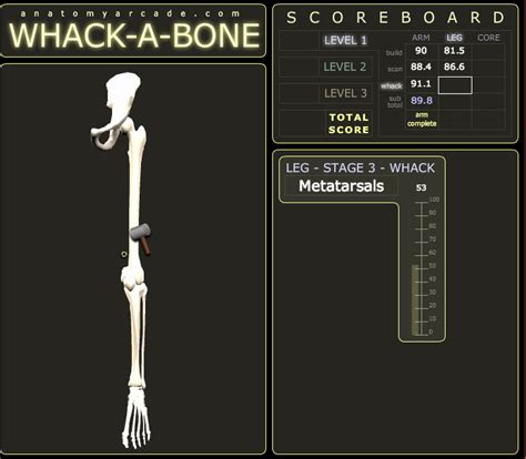 Anatomy Games - Teaching Resource POrtfolio