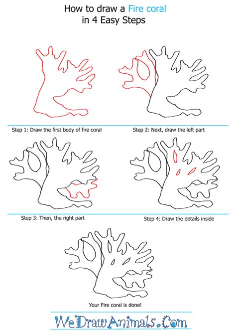 How to Draw a Fire Coral