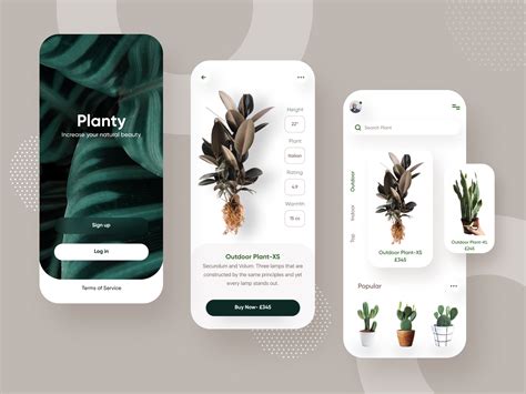 Plant Shop by Jabel 👉 Brand & Website Designer for Solace on Dribbble