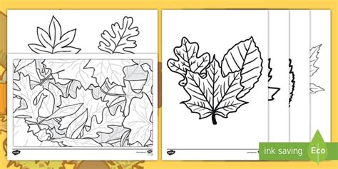 Autumn Leaves Activities for Toddlers - Colouring Pages