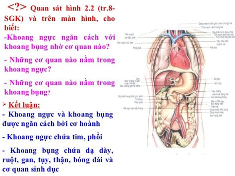 Bai 2 cau tao co the nguoi