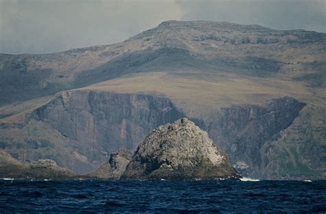 Auckland Island from Disappointment Island – Subantarctic islands – Te Ara Encyclopedia of New ...