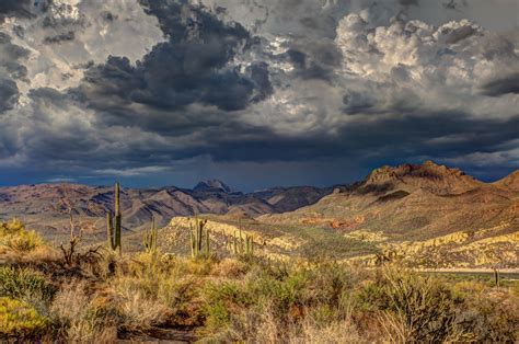 silhouette of a cacti and desert foliage at sunset in gold canyon, gold canyon sunset 4k HD ...