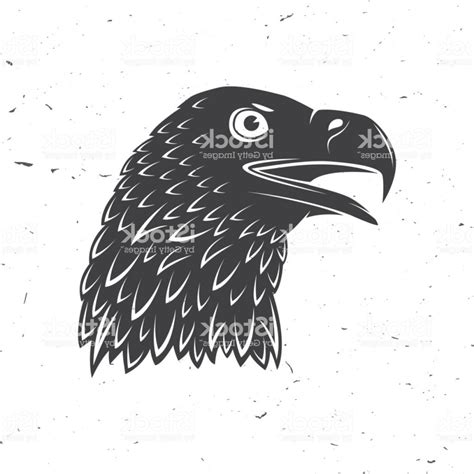 Golden Eagle Vector at Vectorified.com | Collection of Golden Eagle ...