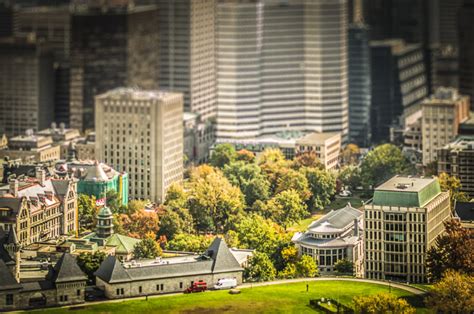 McGill University Campus from above