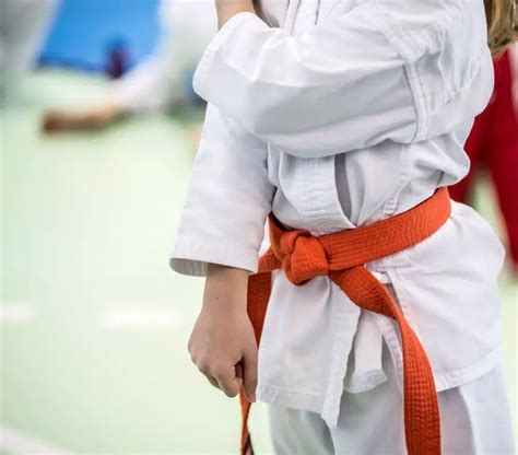 Karate Orange Belt - Rank, Meaning, Requirements, Kumite - Sports Centaur