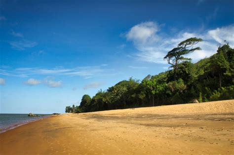 The most beautiful beaches in French Guiana