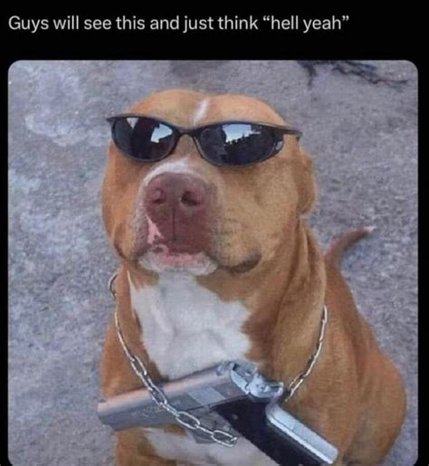 this dog goes hard | Guys Will See This and Just Think "Hell Yeah" | Know Your Meme