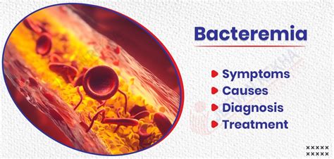 Bacteremia: Symptoms, Causes, Diagnosis, and Treatment