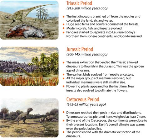 5.8: Mesozoic Era - The Age of Dinosaurs - Biology LibreTexts