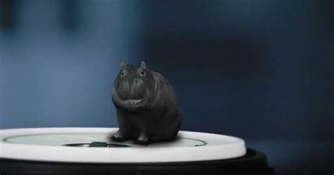 House Hippo Ads Are Back & Canadians Still Want To Have One As A Pet | House hippo, Pets, Hippo