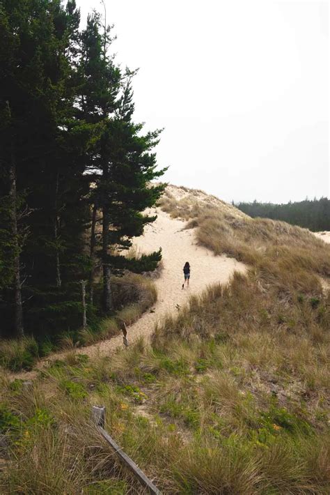 Your Adventure Guide to The Oregon Dunes - Oregon is for Adventure