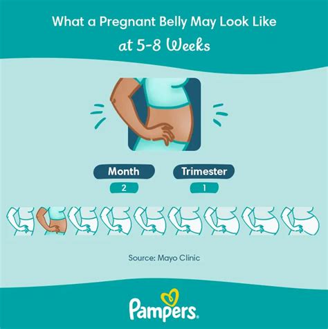 The First Symptoms Of Pregnancy