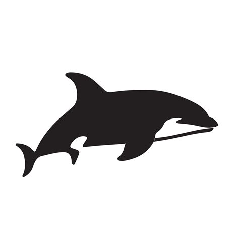 orca silhouette Vector 29193091 Vector Art at Vecteezy