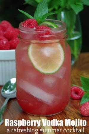 Raspberry Vodka Mojito Recipe - Suburbia Unwrapped