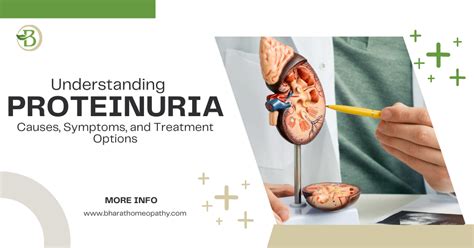 Understanding Proteinuria: Causes, Symptoms, and Treatment Options - Bharat Homeopathy