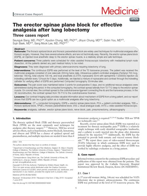 The Erector Spinae Plane Block For Effective.9 | PDF | Anesthesia ...