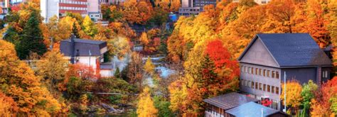 The best spots to see autumn leaves In Hokkaido - Japan Today