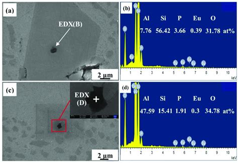 Energy dispersive x-ray spectroscopy (EDX) analysis of primary Si... | Download Scientific Diagram