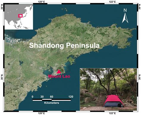 Map of Shandong Peninsula. Showing the type locality and habitat for ...