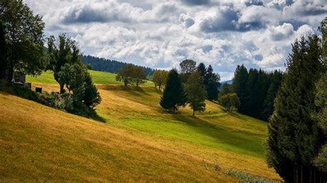 Hill Scenery, Green Nature, Landscape Wallpaper