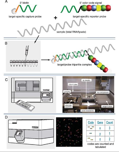 Figure 25 from Digital multiplexed gene expression analysis using the NanoString nCounter system ...