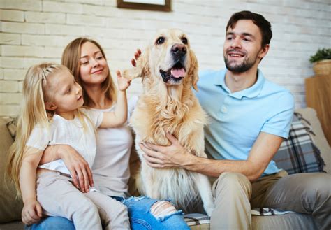 New Study to Explore the Connection Between Human and Pet Health ...